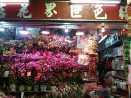 綠色世界花店